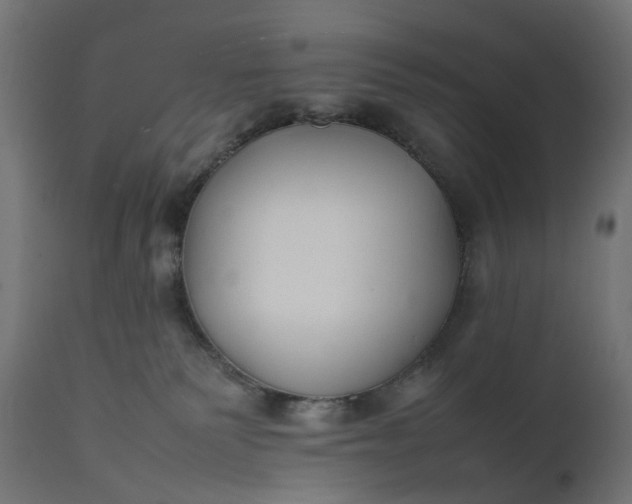 X0000111500135200907281300