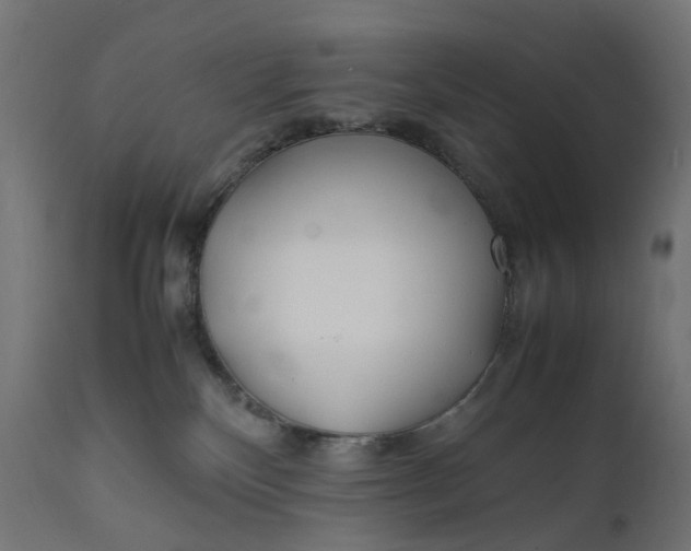 X0000111500136200907281300