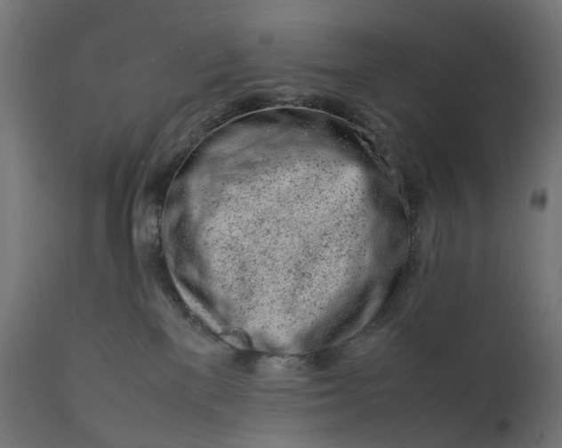 X0000111500137200907281300