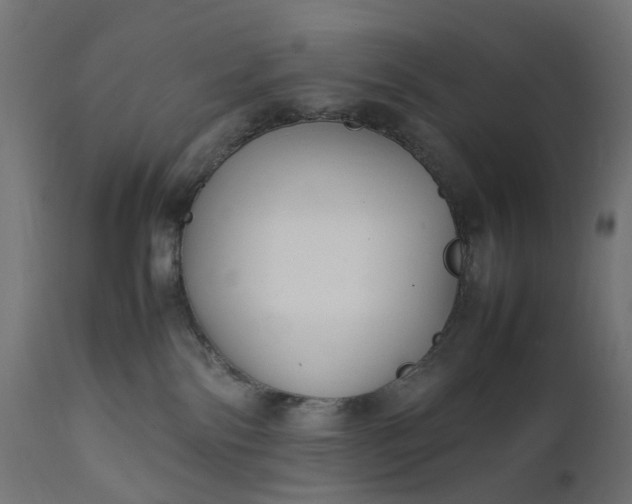 X0000111500138200907281300