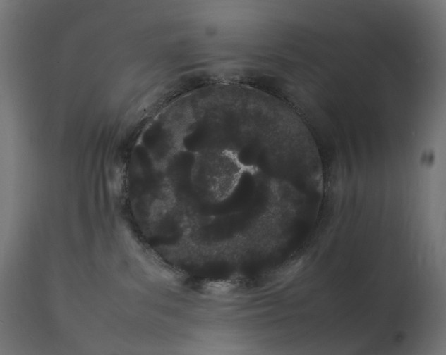 X0000111500139200907281300