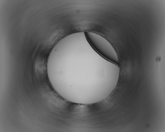 X0000111500140200907281300