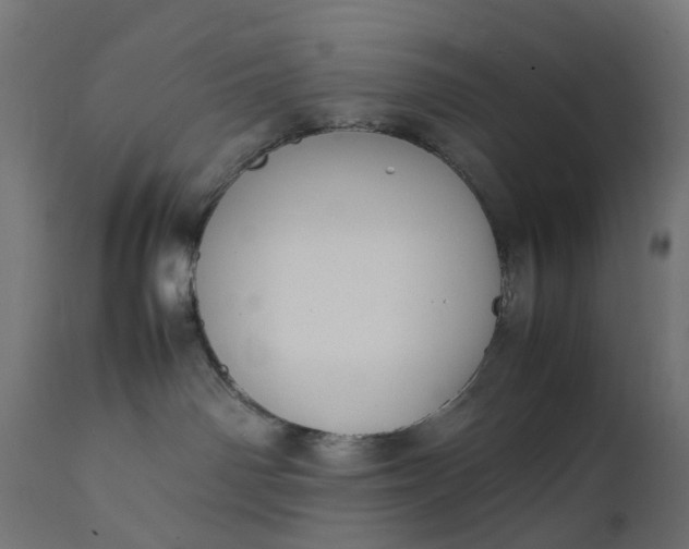 X0000111500142200907281300