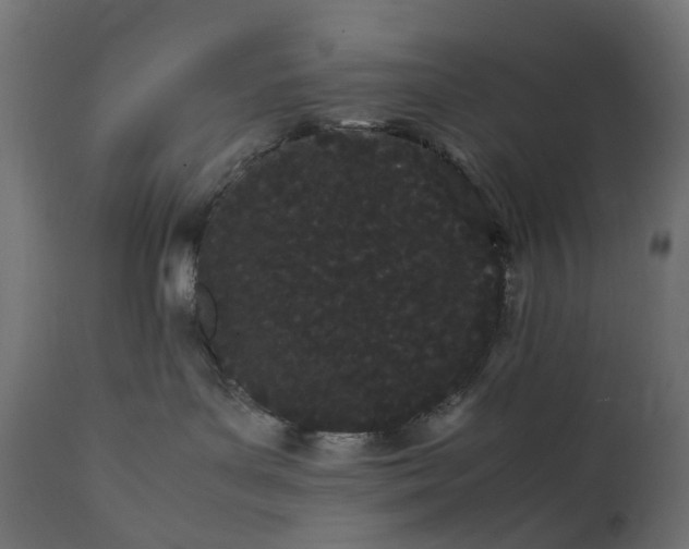 X0000111500143200907281300