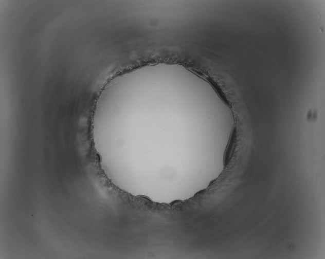 X0000111500144200907281300