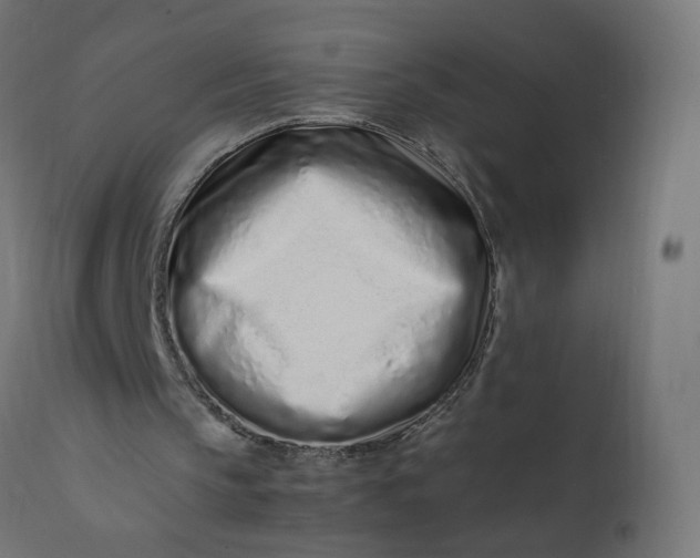 X0000111500145200907281259