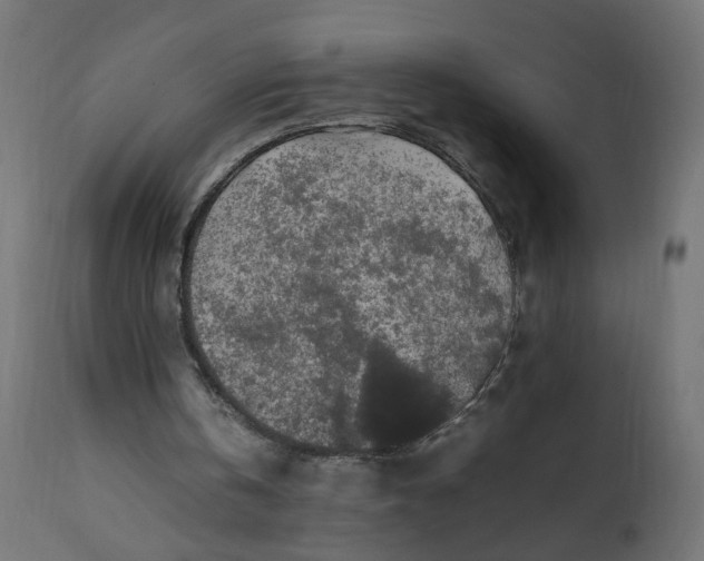 X0000111500146200907281259