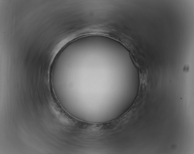 X0000111500148200907281259