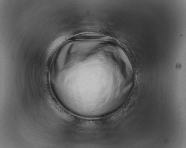 X0000111500149200907281259