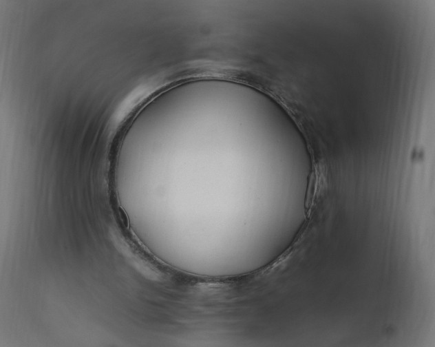 X0000111500150200907281259