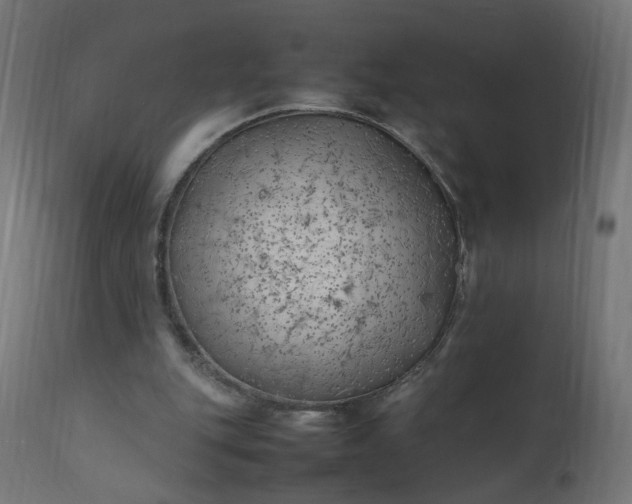 X0000111500151200907281259