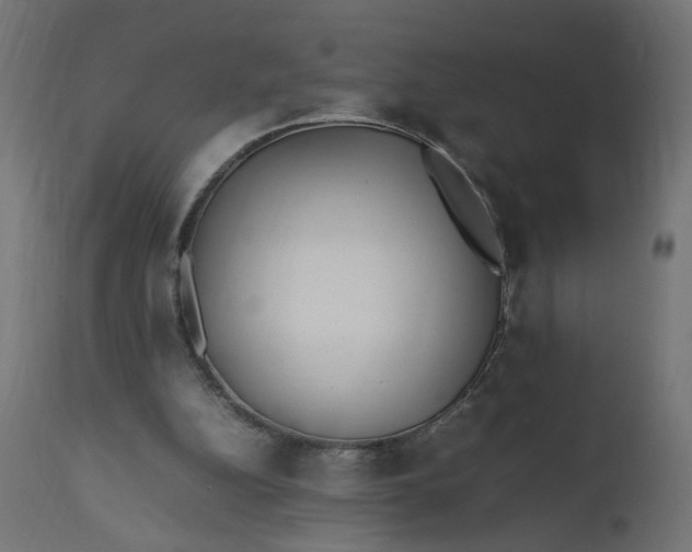 X0000111500152200907281259