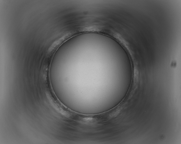 X0000111500153200907281259