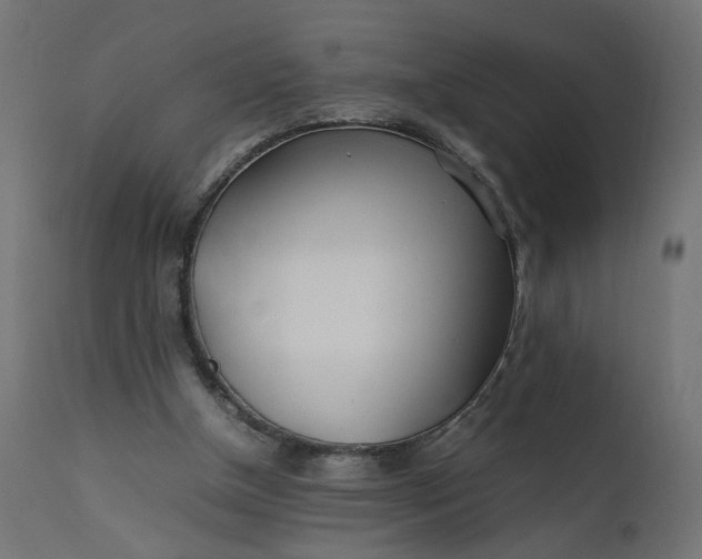 X0000111500154200907281259