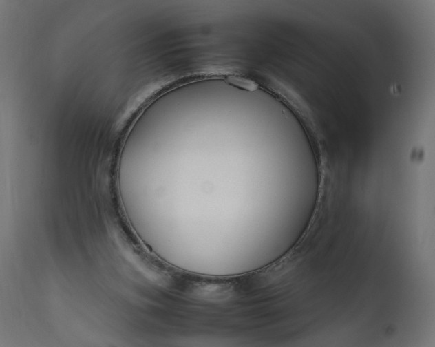 X0000111500155200907281259