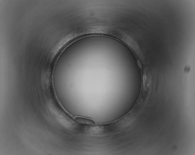 X0000111500156200907281259