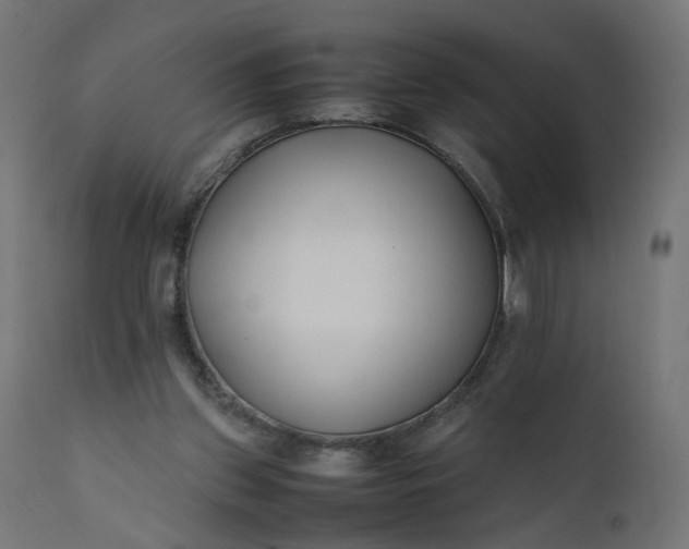 X0000111500157200907281259