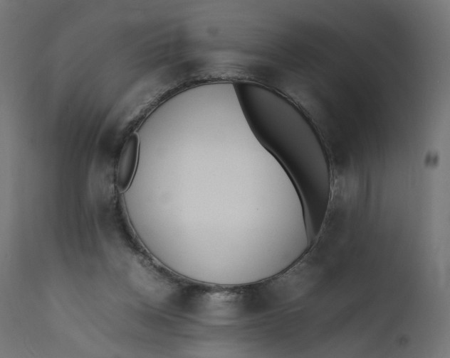 X0000111500158200907281259