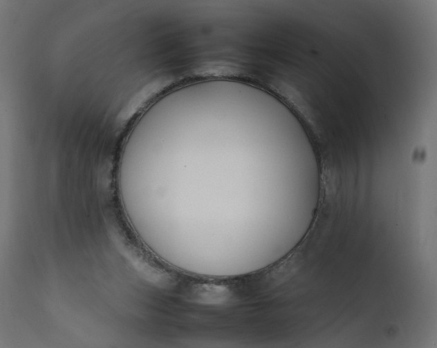 X0000111500159200907281259