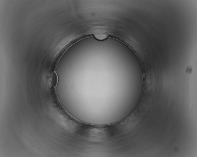 X0000111500160200907281259