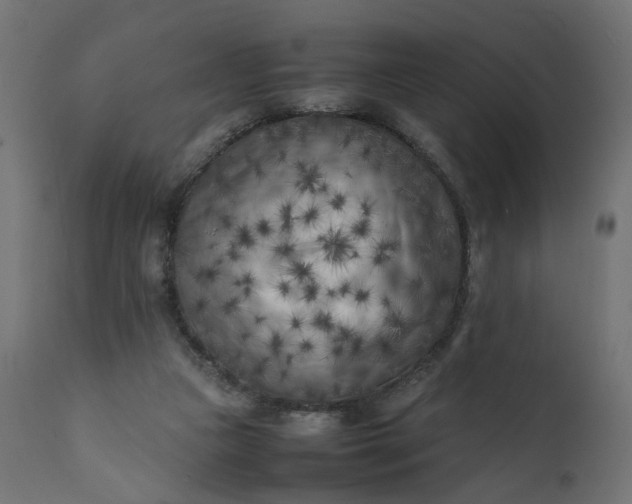 X0000111500161200907281259