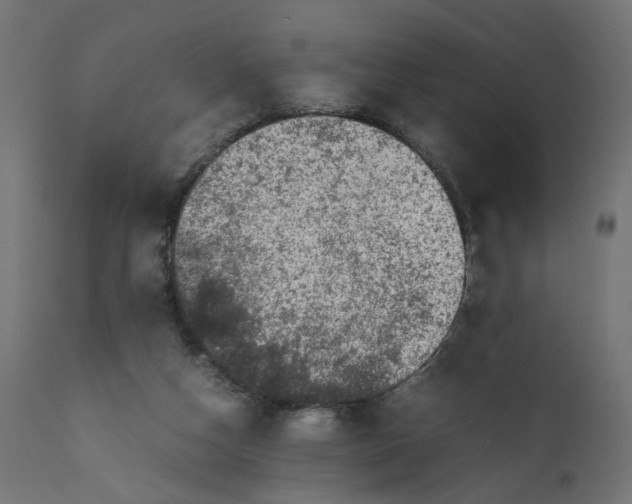 X0000111500162200907281300