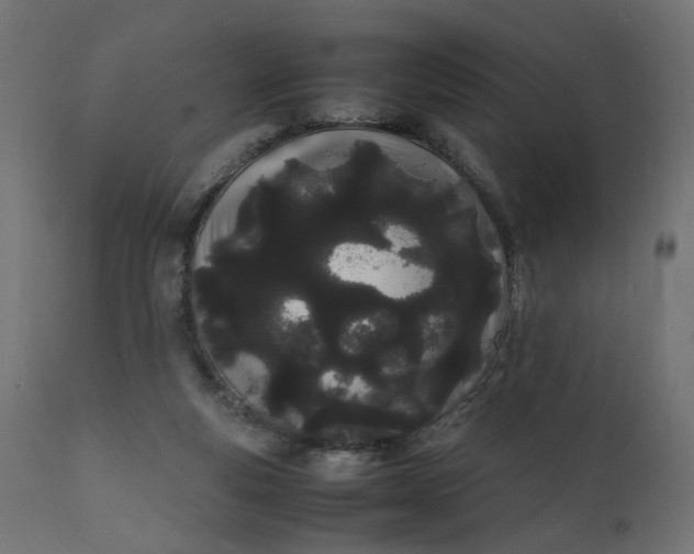 X0000111500163200907281300