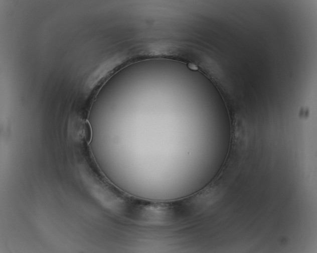 X0000111500164200907281300