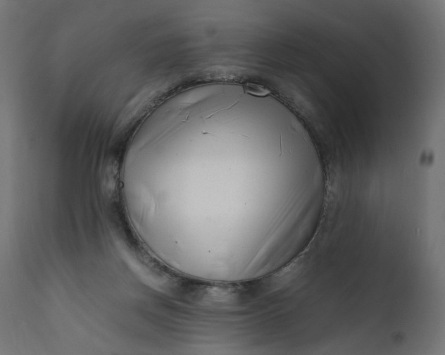 X0000111500166200907281300