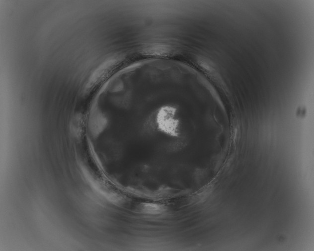 X0000111500167200907281300