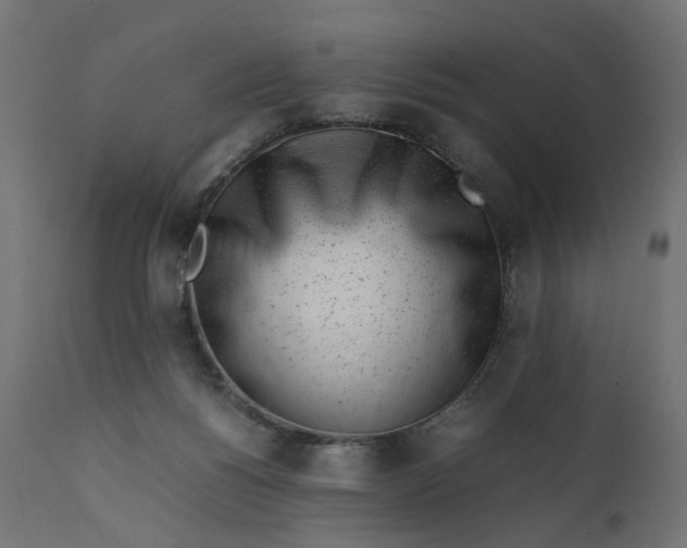 X0000111500168200907281300