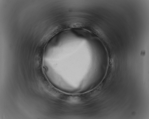 X0000111500169200907281300