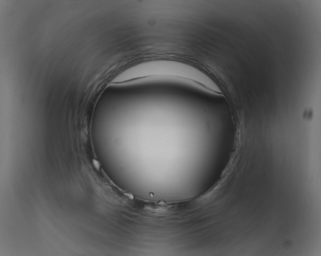 X0000111500170200907281300