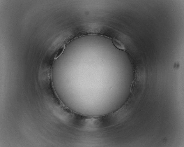 X0000111500172200907281300