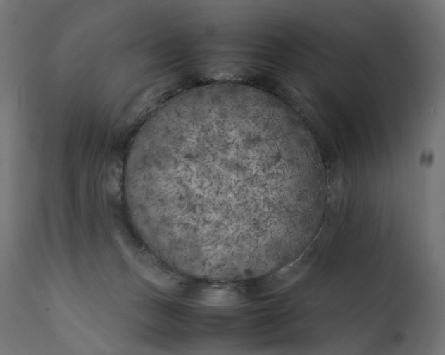 X0000111500175200907281300