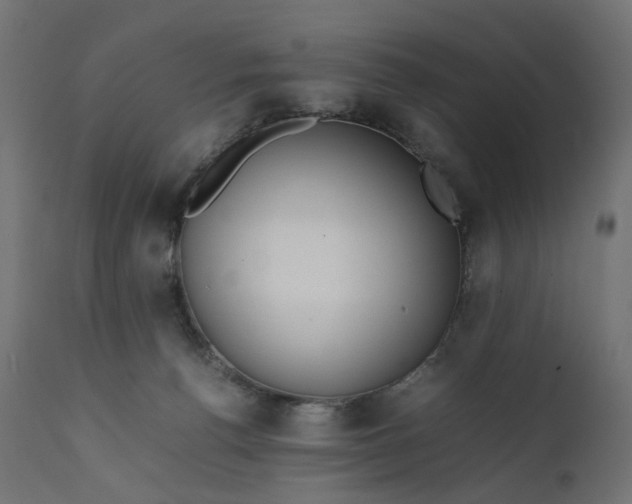 X0000111500176200907281300