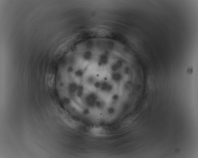 X0000111500177200907281300