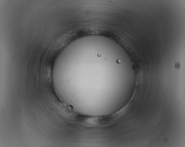 X0000111500178200907281300