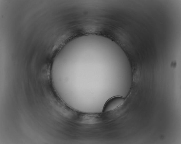 X0000111500179200907281300