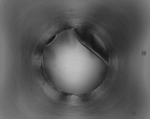 X0000111500180200907281300