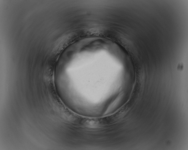 X0000111500181200907281300