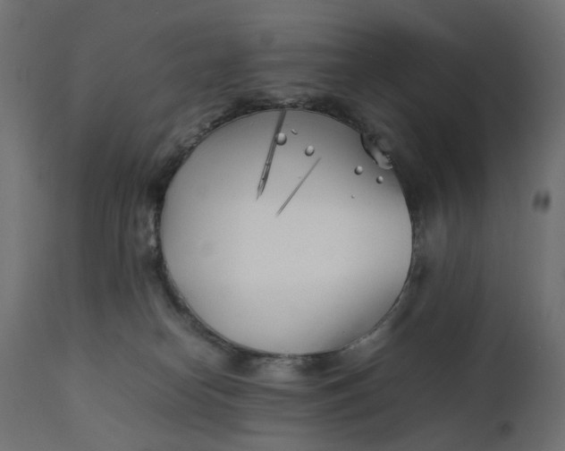 X0000111500182200907281300