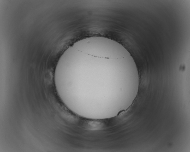 X0000111500183200907281300