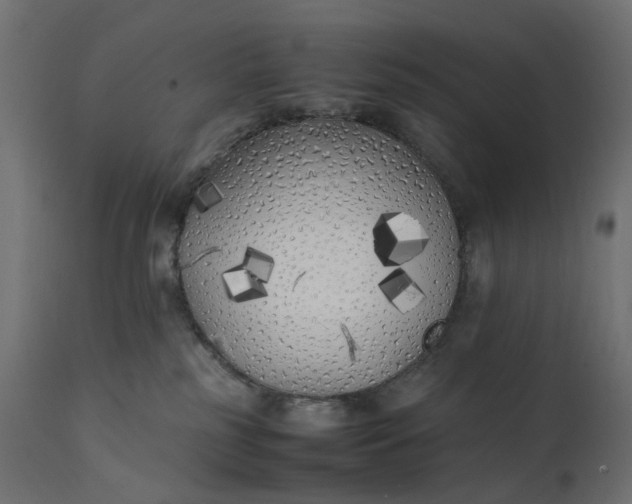 X0000111500185200907281300