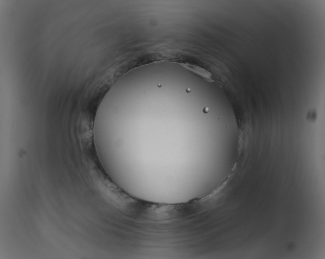 X0000111500186200907281300