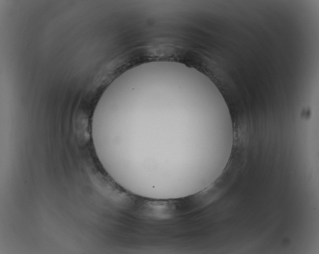 X0000111500187200907281300