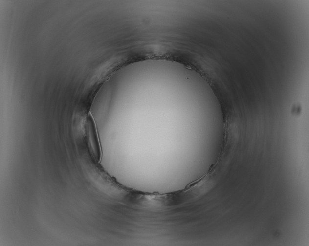 X0000111500188200907281300