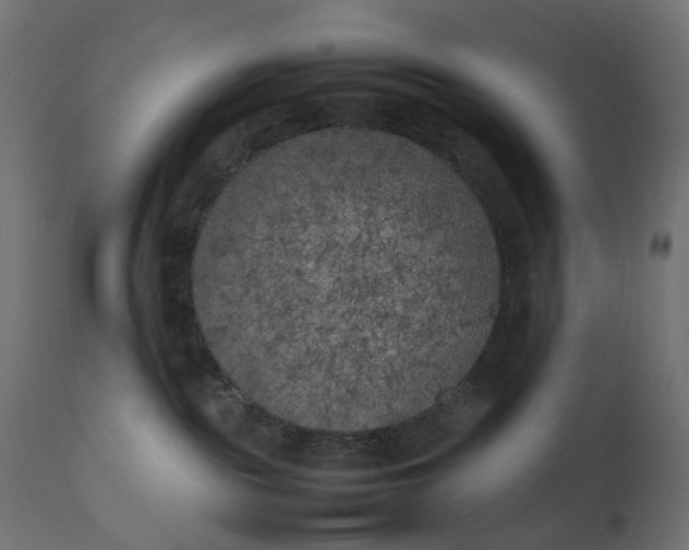 X0000111500189200907281300