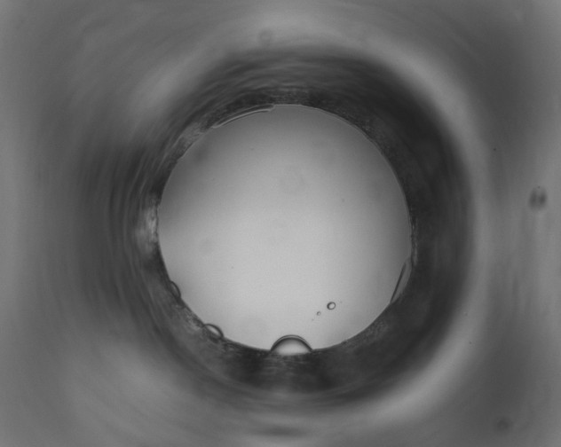 X0000111500190200907281300