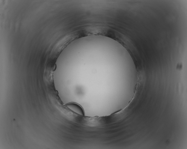 X0000111500191200907281300